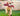560d23019a00e4e569bdda297c8c975a