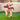 560d23019a00e4e569bdda297c8c975a