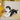 3fc17242eb11d612b5eaeec3c8b92234