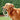 3801982aba6deab15a4e6c99e8a5872c