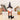 d2c16b4407328c341030d1da084acc79