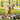 3802831862ccd51bfcb8c3198ff1ab52