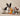 cd2bab8693e82de77e7500d3bf388908