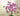 Fairy Flower LED Rose Tree Lamp USB Battery Operated Warm White 33cm
