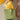 cf3b770d6dfb83a92c27bb333bbed7bd